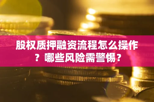 济南股权质押融资流程怎么操作？哪些风险需警惕？