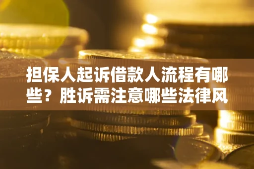 济南担保人起诉借款人流程有哪些？胜诉需注意哪些法律风险？