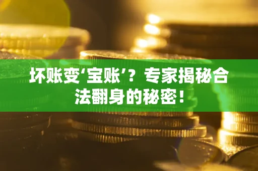 济南坏账变‘宝账’？专家揭秘合法翻身的秘密！