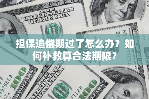 济南担保追偿期过了怎么办？如何补救算合法期限？