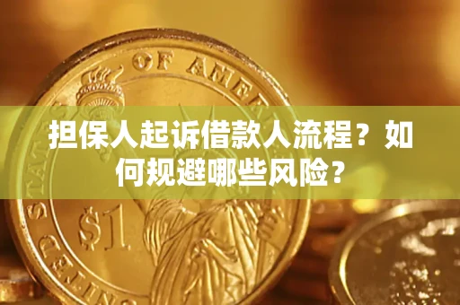 济南担保人起诉借款人流程？如何规避哪些风险？