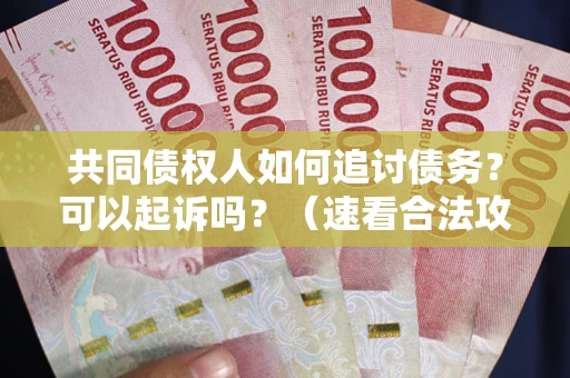 济南共同债权人如何追讨债务？可以起诉吗？（速看合法攻略）
